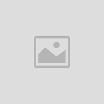 Automotive & Motorcycles